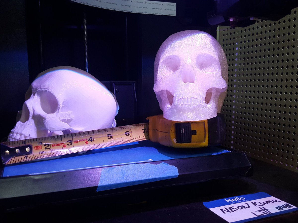 NeonKumu's tweet photo. Skull dimensions 
X- 4" , Y- 6" , Z- 4.25" https://t.co/JS4xbWuJTh