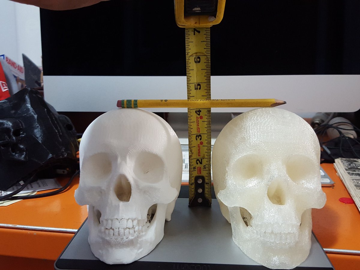 NeonKumu's tweet photo. Skull dimensions 
X- 4" , Y- 6" , Z- 4.25" https://t.co/JS4xbWuJTh