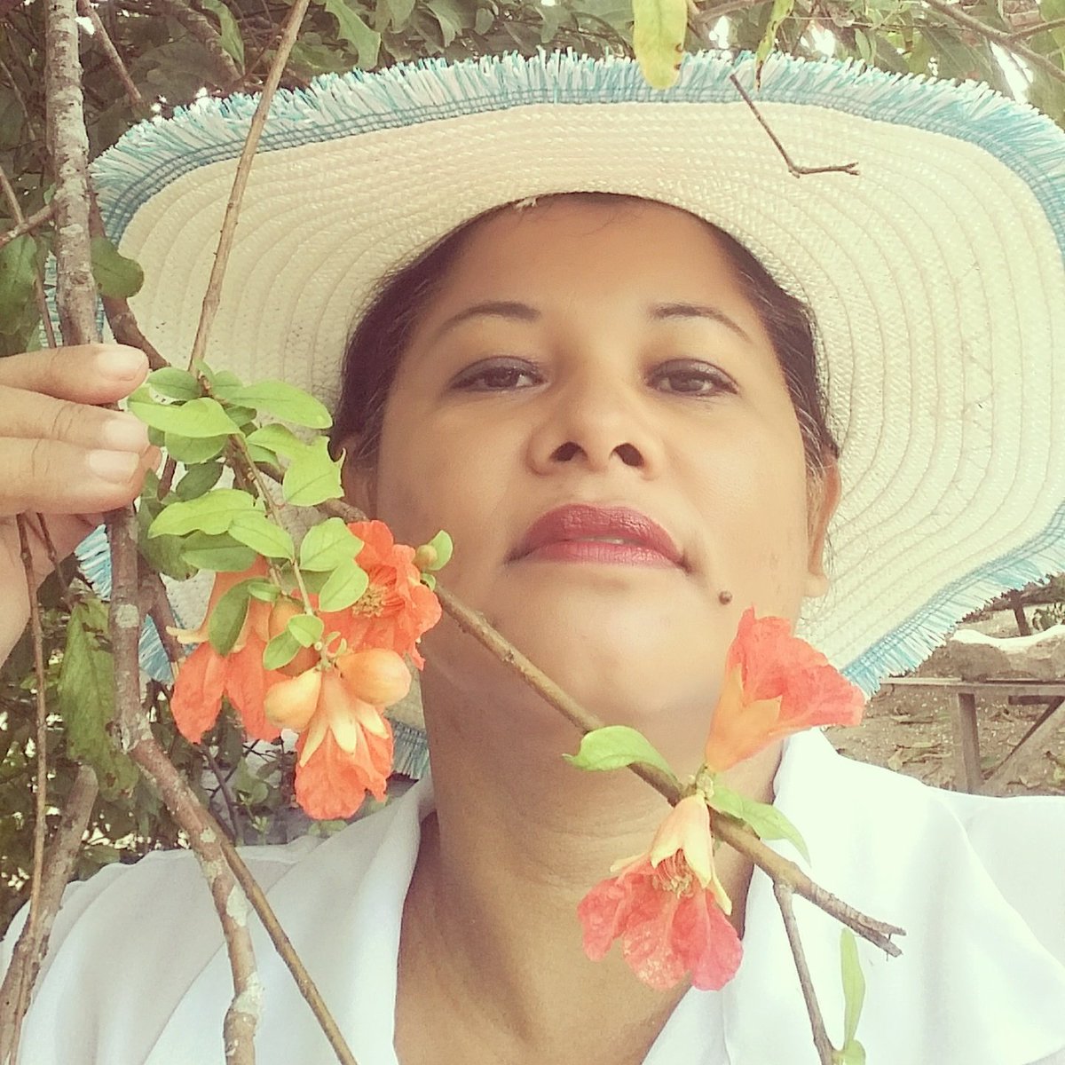 VinhoDa's tweet image. 