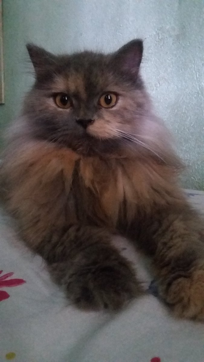 VinhoDa's tweet image. 