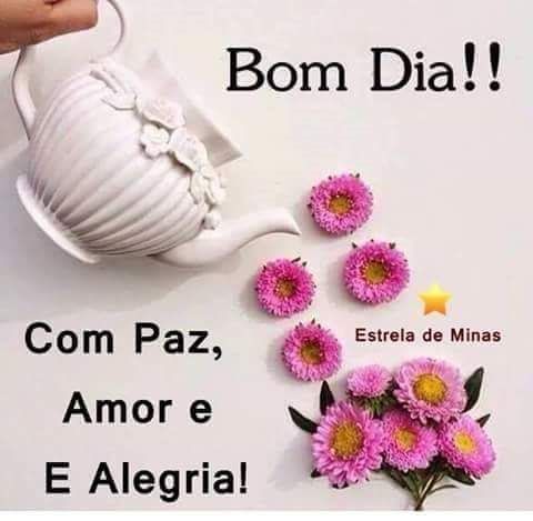 VinhoDa's tweet image. 