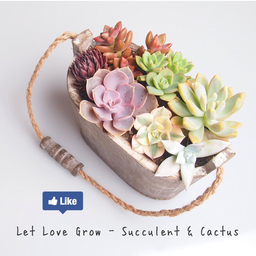 LLGSNC's tweet image. Please LIKE us on Facebook &amp;lt;3