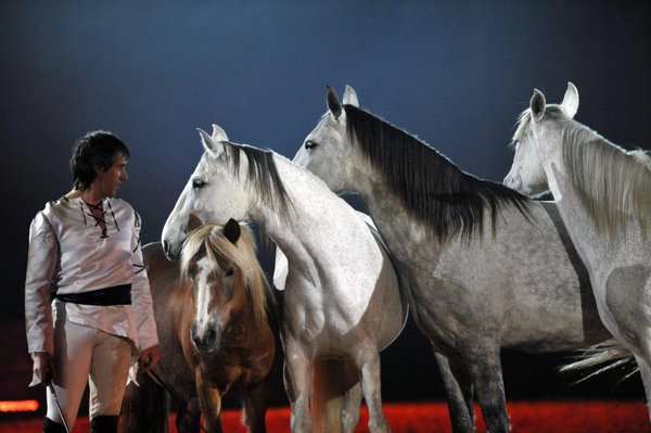 Venez voir les spectacles de <a href="/showlorenzo/">Lorenzo Horse Show</a> à #chevalpassion du 20 au 24 janvier !!!