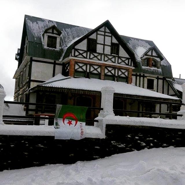 ALGERIA_TOURISM's tweet photo. #Chréa #Blida #Algérie #algériens #tourisme #tourism #algeria #travel #dzair #الجزائر #teamdz #algiers #worldplaces https://t.co/822doZVdeA