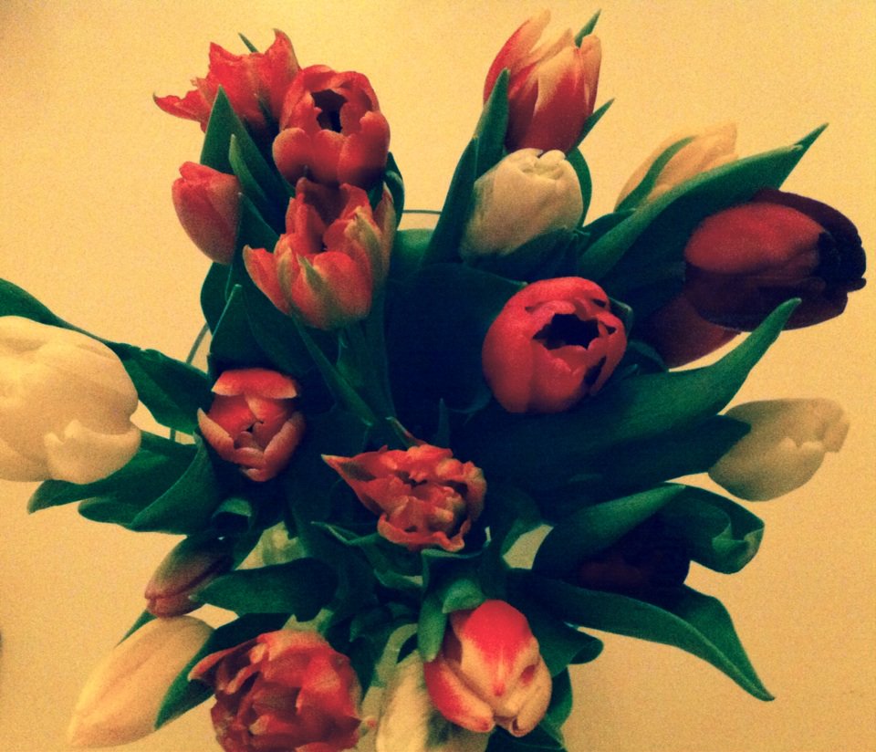 Tieneke2's tweet photo. #tulpenuitamsterdam 😀 https://t.co/rrpc6SY6G2