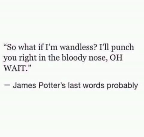 JamesP_ME's tweet photo. //This makes my life better, these were James' last words. https://t.co/zab41Fs6cU