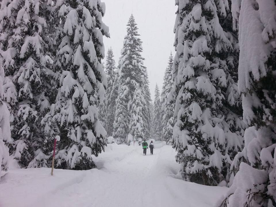Winterwandern in Lech Zürs am Arlberg von Markus H.  
Leider ist der Lechweg im Winter nicht zu erwandern