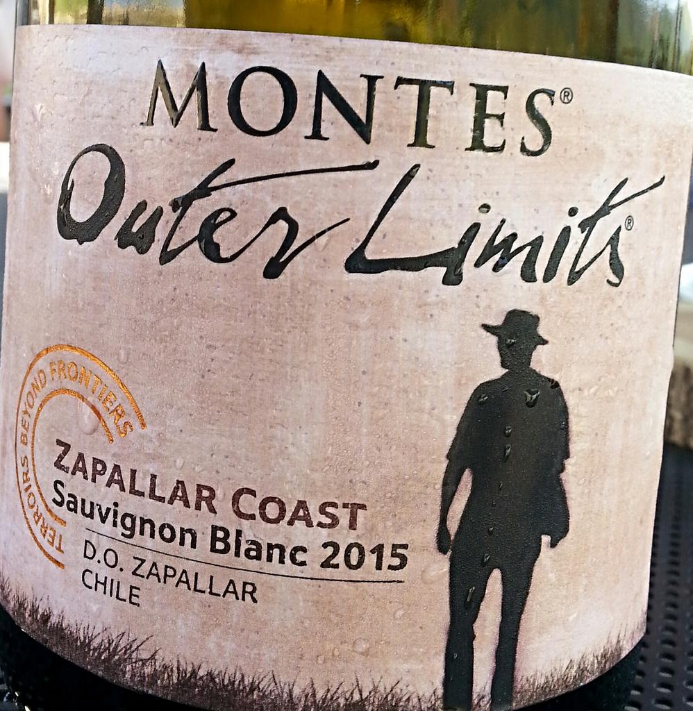ellenvandewijn's tweet photo. @winesofchli. ♥Sauvignon blanc van Montes uit Zapallar in Aconcaqua.Koel klimaat, langzame rijping. Fluwele frisheid https://t.co/grOZqaA3YF
