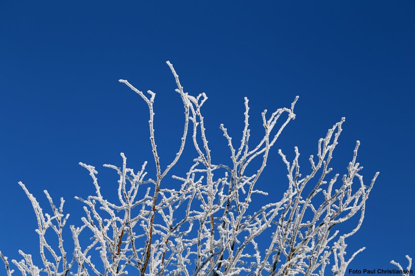 dmidk's tweet photo. #VagtChefenSiger nyd #solen og det klare vejr. Fra fredag er der vejrskifte på vej til #gråtigråt #plusgrader #skyet https://t.co/NgbbEP58ui