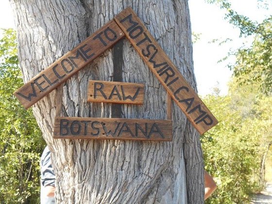 Rawbotswana's tweet photo. Experience of a lifetime #ridingsafaris #walkingsafaris #botswana #bucketlist https://t.co/AhXTnZUG4g