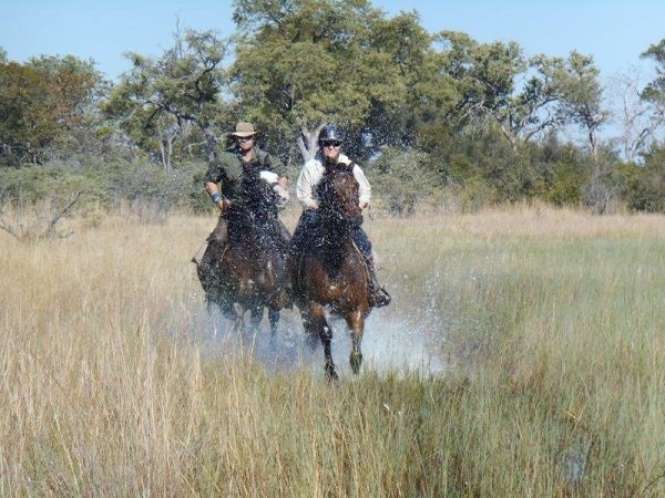 Rawbotswana's tweet photo. Experience of a lifetime #ridingsafaris #walkingsafaris #botswana #bucketlist https://t.co/AhXTnZUG4g