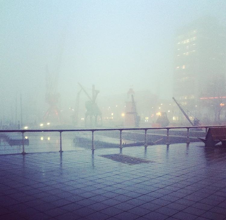 gespot_in_010's tweet image. Niet te missen: onze mooie stad onder een zachte, witte deken. Heb jij ook zo'n mooie foto gemaakt? Foto: TisLars