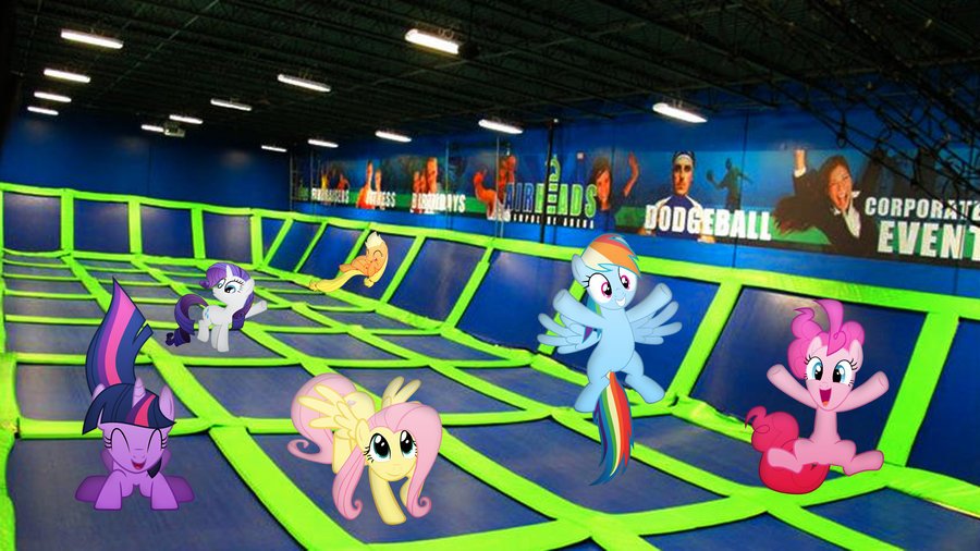 _RarityDiamond_'s tweet photo. Play time for us!!
#MLPFiM #MLP https://t.co/mO752ks3xU