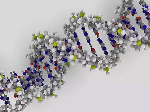 MedCiencia's tweet photo. DESTACADO: Encuentran una relación entre el amor y los genes de la altura https://t.co/JM7Arczm1s https://t.co/wpBIFs6F6U