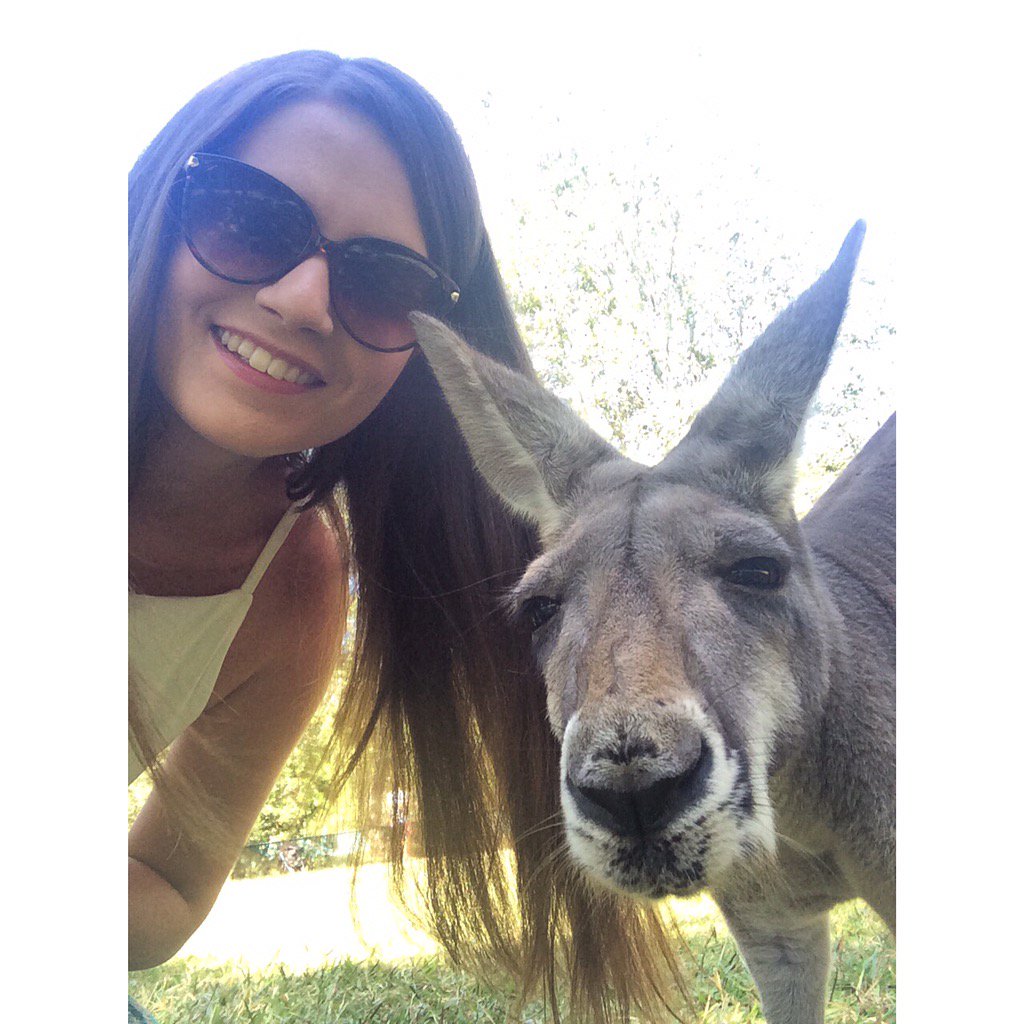 AustraliaZoo tweet picture