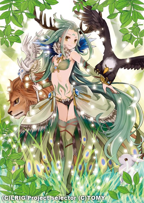 do_em's tweet photo. 本日発売のWIXOSSブースター11弾収録の「四型貫女 緑姫」と、発売記念キャンペーンおみくじパックに収録の花代さん描かせていただいております！
どちらもよろしくお願いいたします。
https://t.co/aJqJo9dHlL https://t.co/HDOYrcDnZA