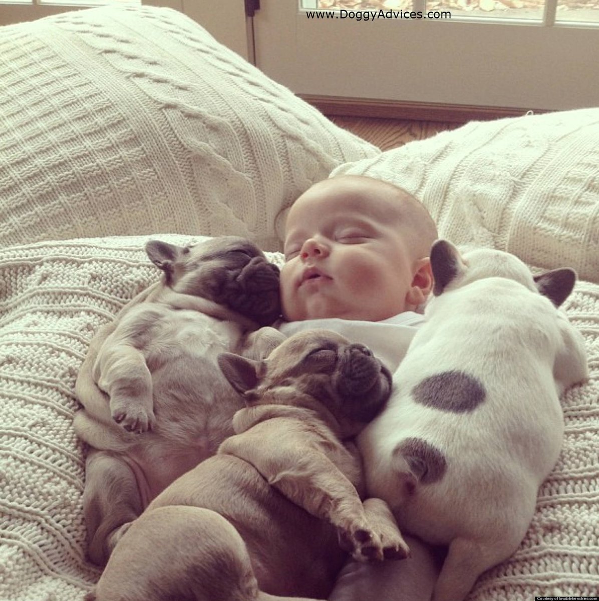 SleepWorksLDN's tweet photo. Whomever or whatever, we hope you get a good hug during tonight's sleep! #NationalHugDay #sleepworks #wakeuppositive https://t.co/n0Ow9U4hPy