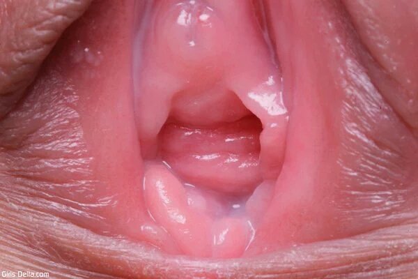 inside a pussy pics