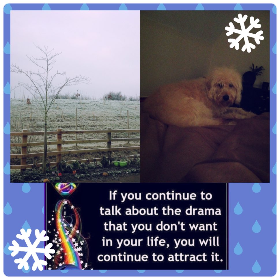 IntWellSolution's tweet image. So cold 2day taking out the dog,she didn't want 2 leave!Warmed up in the gym &amp;amp; listened to @LesBrown77 #jointhevibe