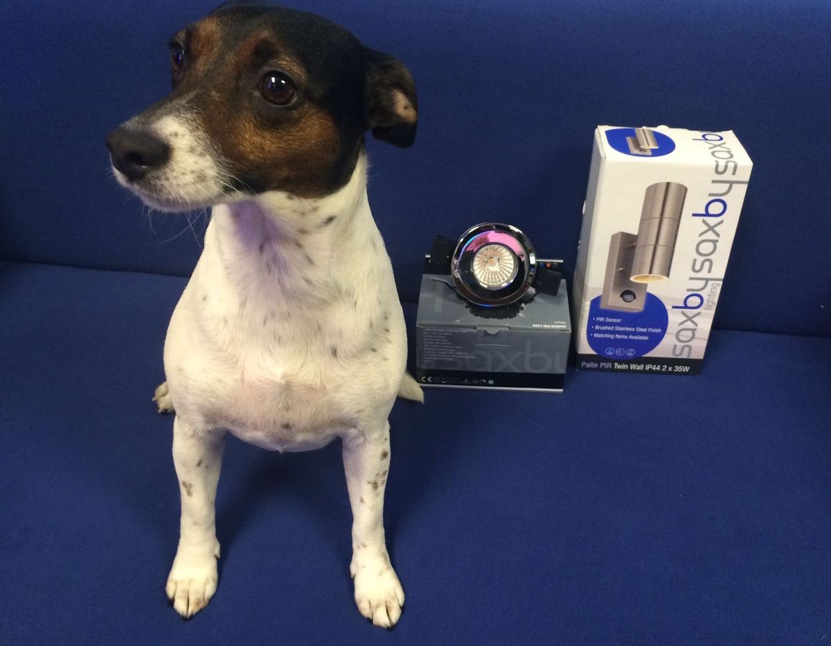 ClickooUK's tweet photo. Great meeting @TheBulbCO_LED yesterday, and Joanna even got to meet Roxy! The only photo prop we'll ever need :) πΆ https://t.co/JTZ2xyH8po