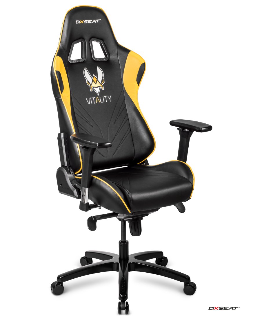 Team Vitality 🐝 on X: "#GiveAway Congratulations to @SaltyBishopp for  winning the @DXseat chair Vitality edition! GG WP. https://t.co/jkxd1bPbiN"  / X