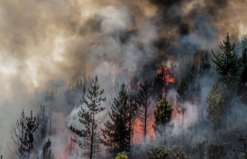 News24's tweet photo. Simonsberg fire rages through Cape winelands https://t.co/ztMLoshfz7 https://t.co/JGtvmhVYCh