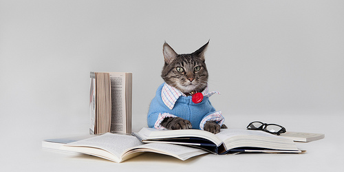 HubSpot's tweet photo. Our blogging team spends a LOT of time reading blogs. Here are 39 of their favorites: https://t.co/6XcwDQbvxk https://t.co/DtuTP2vqrv