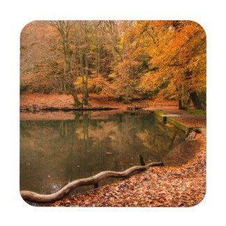 andykart31's tweet photo. Selection of #coasters available on my #zazzle store
https://t.co/C1bczQ9Jy5
#kart #rotax #macaw https://t.co/aFXe1QRVUh