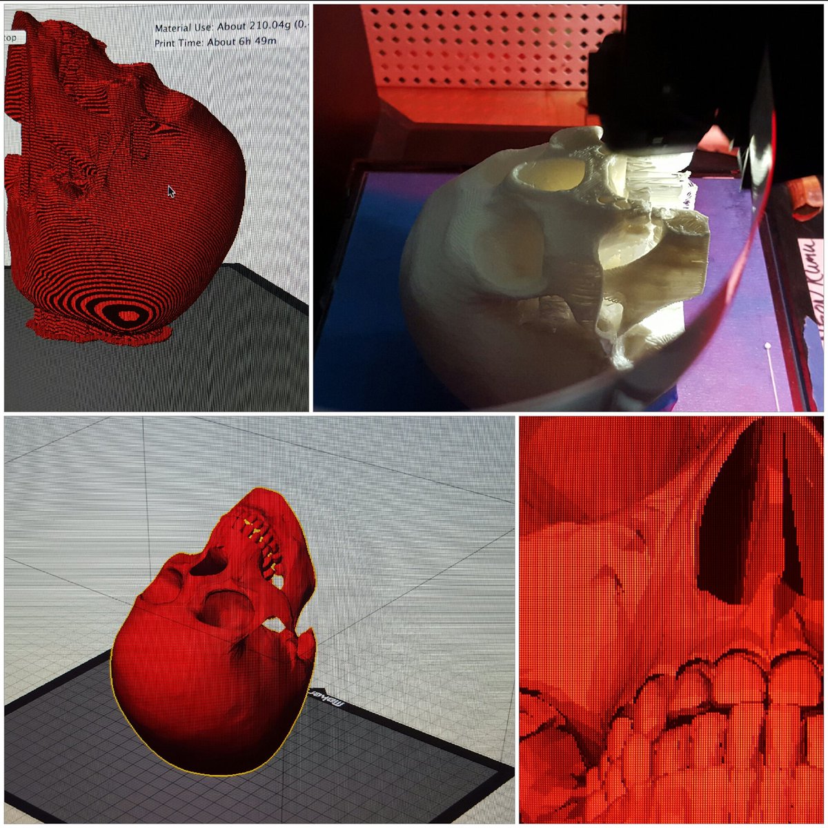 NeonKumu's tweet photo. EzSkull Action! 3d print of a stl. File of a Human Skull. Replicator5thgen. https://t.co/zqJf0KKeie