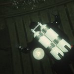 Photo by In Deep Dive Centre (@InDeepPlymouth)