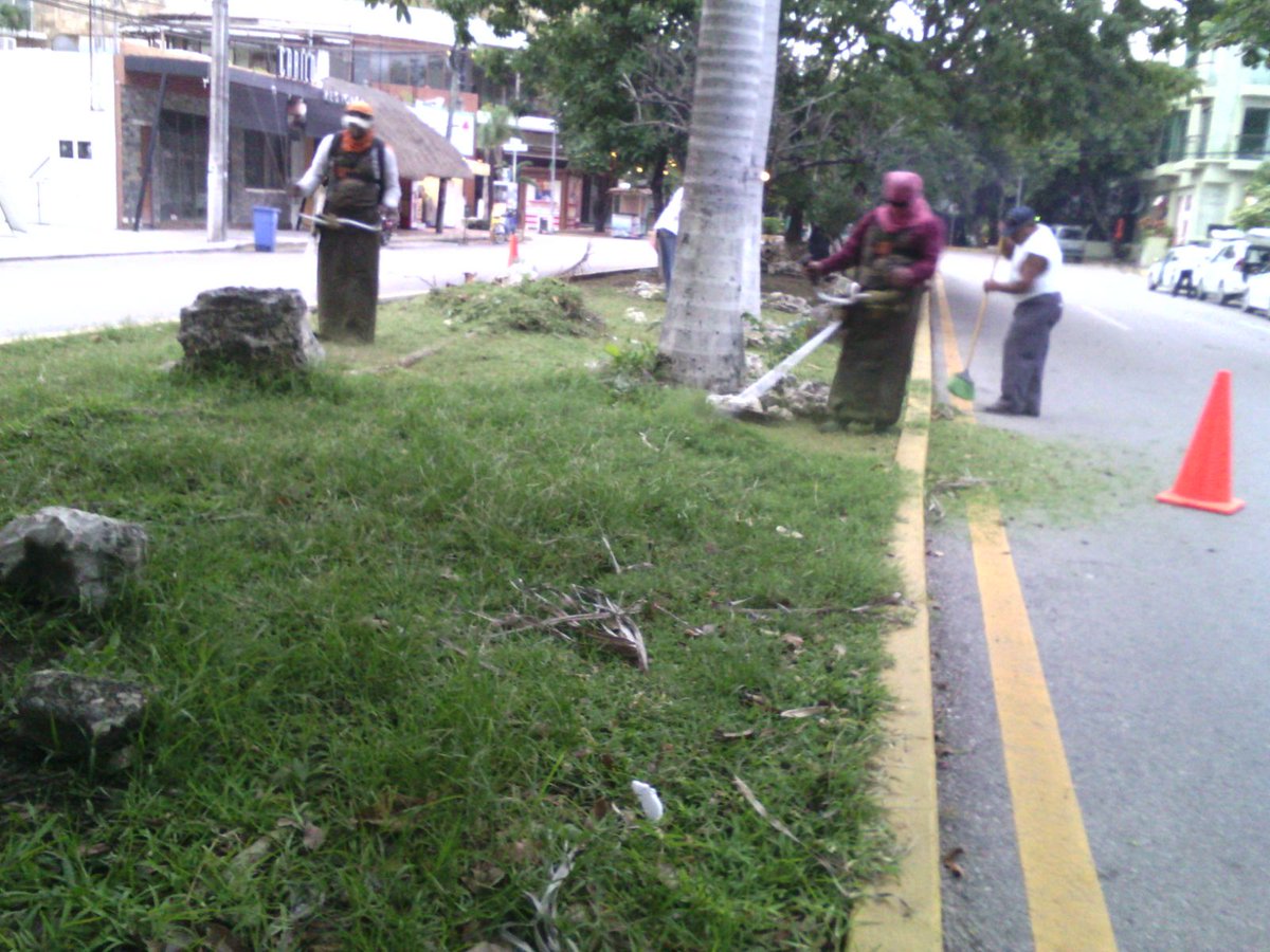 ServiciosPubSOL's tweet photo. Podado y limpieza av. 38 de 5ta. av hacia 30 av. @MauricioGongora @NoelCrespoPlaya @GobSolidaridad @DAVIDROMEROVARA https://t.co/tjbeO2hoGT