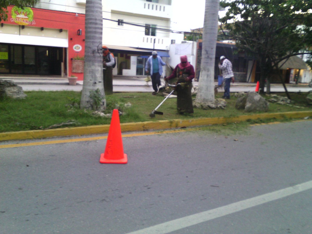 ServiciosPubSOL's tweet photo. Podado y limpieza av. 38 de 5ta. av hacia 30 av. @MauricioGongora @NoelCrespoPlaya @GobSolidaridad @DAVIDROMEROVARA https://t.co/tjbeO2hoGT