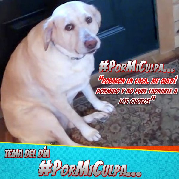 carlonchodemoda's tweet photo. #PorMiCulpa
Hay cosas que son pura responsabilidad tuya. Asume y acepta que eres el culpable. @ModaFM @renzowinder https://t.co/8LS2gsGbCB