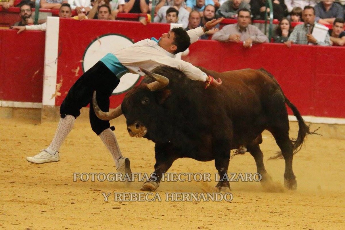 Arribes Taurinas tweet media