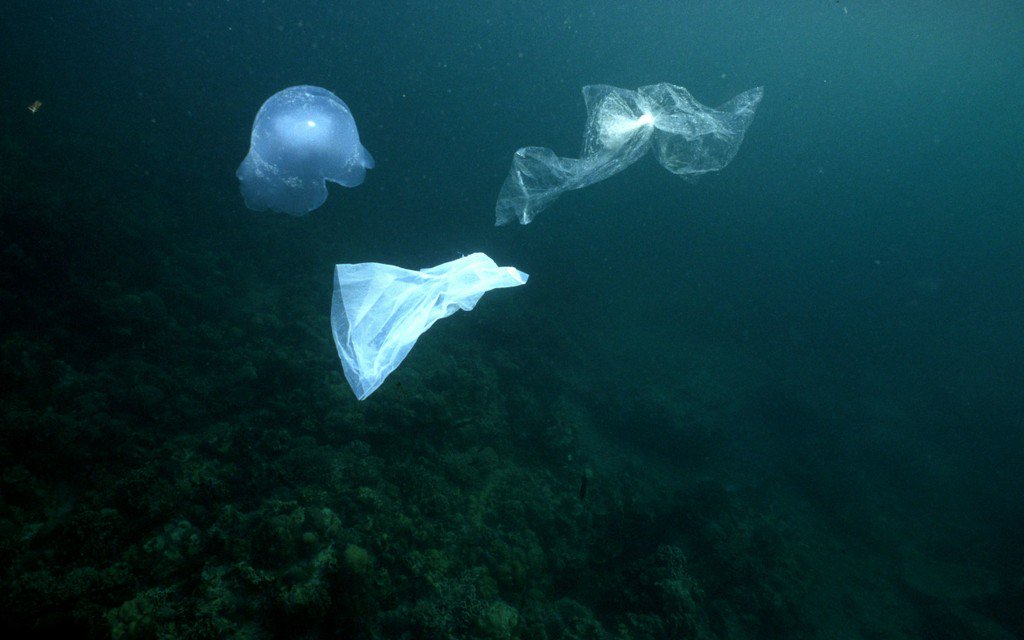 TravelLeisure's tweet image. The oceans will contain more plastic than fish by 2050: tandl.me/1Oz5cni