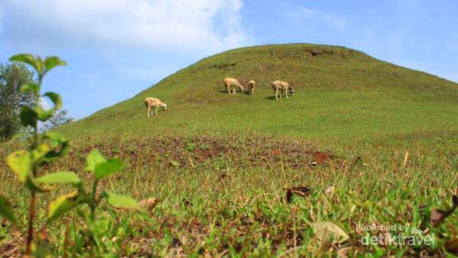 detikcom's tweet photo. Bukan Bromo, Ini Bukit Teletubbies di Sleman https://t.co/BlgseLI62O via @detiktravel https://t.co/mAjDL7Xt0k