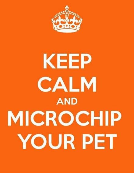 FitzalanHouse's tweet photo. From the 6th of April 2016, all dogs must be microchipped and registered to an approved database by 8 weeks of age https://t.co/6Jrq83Bj8G