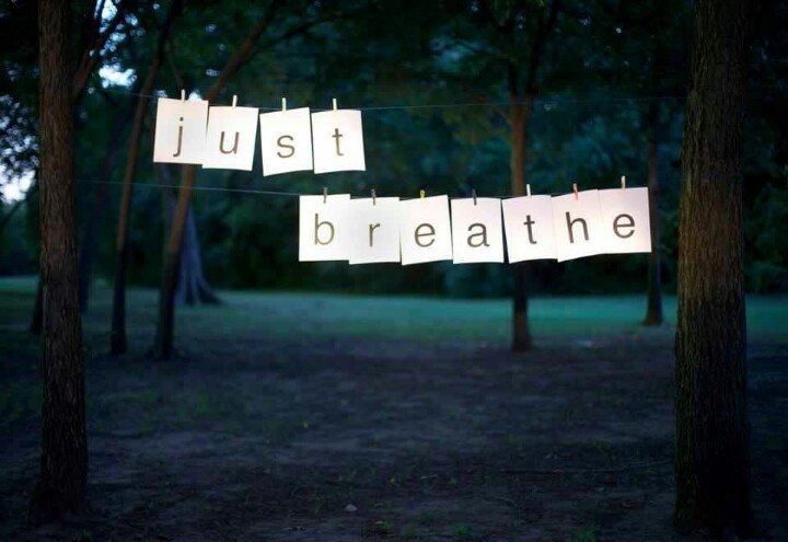 LeedsTaoistArts's tweet photo. The time honoured art of the #breath. #findyournaturalhigh #livewell https://t.co/sDsullaaz6 https://t.co/VvikYxbxLu