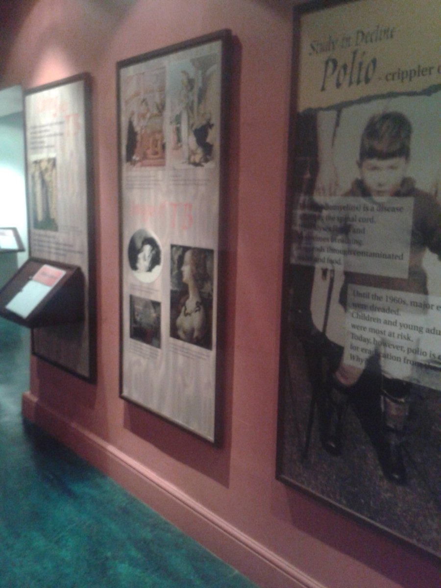 Laura Ann Lofthouse (@lalofthouse) on Twitter photo 