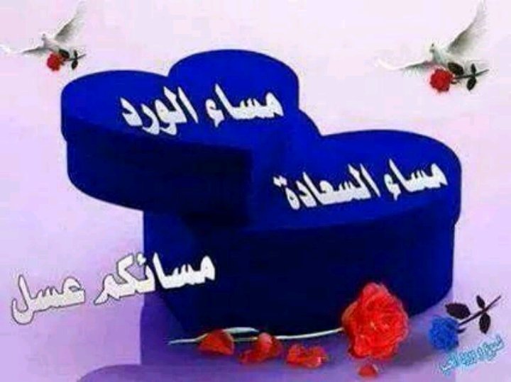 ملكه بشخصيتي (@aliselih) on Twitter photo 