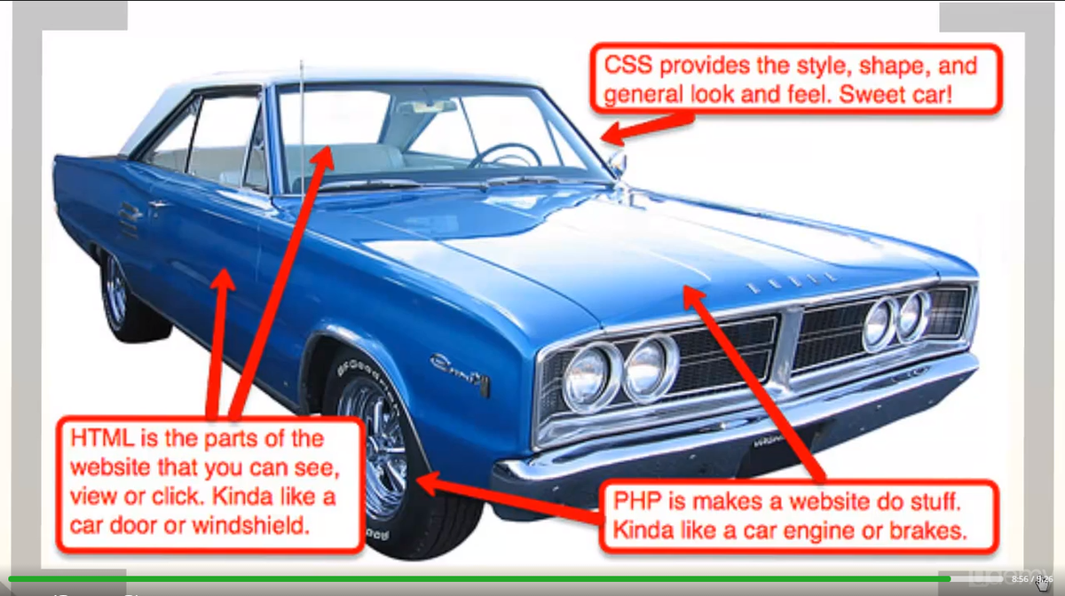 Programingtuts tweet picture