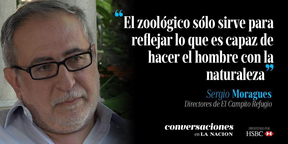 LANACION's tweet photo. Sergio Moragues en #ConversacionesLN con @carola_amoroso https://t.co/1qNOQxYinm https://t.co/8NVK29RTmd