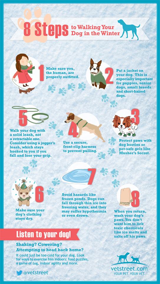 EnergySherlock's tweet photo. Great Tips for walking your dogs in the Winter!  #RoadSalt is #BAD https://t.co/klZSZ1YblB