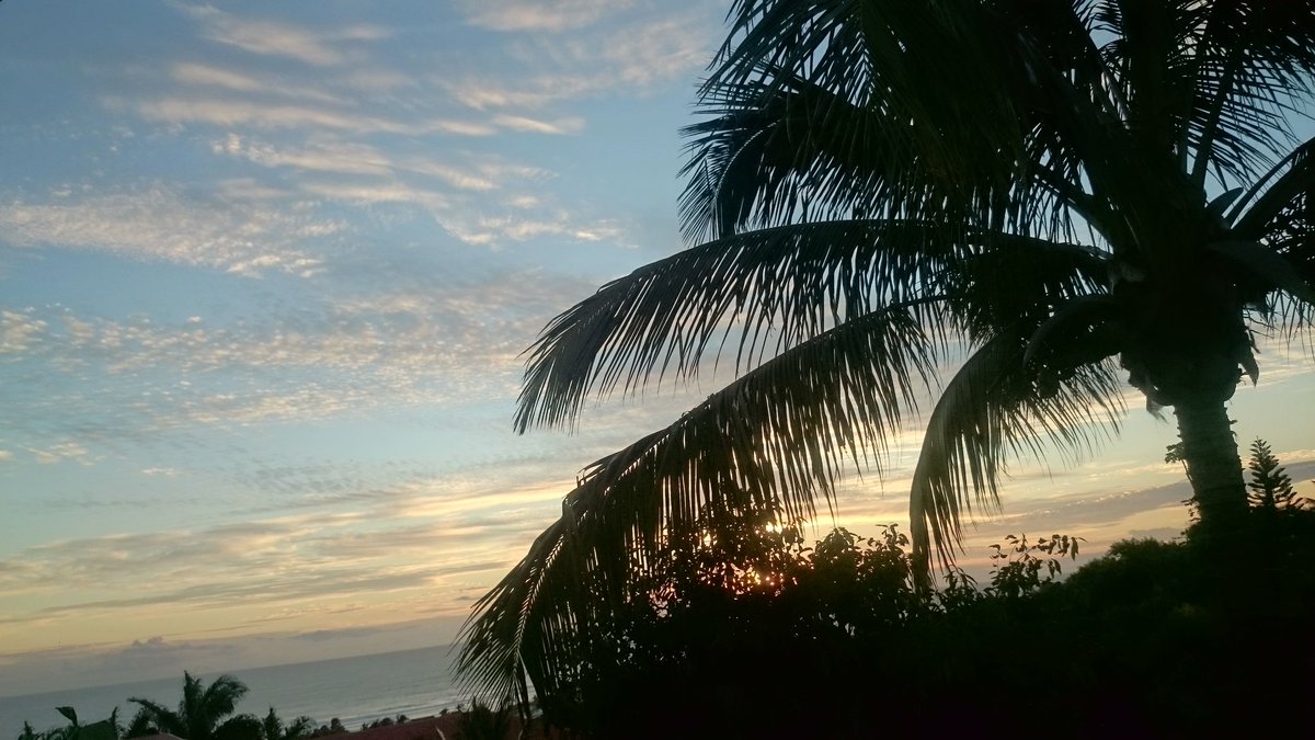 sica97410's tweet photo. #sunset974 🌴🏄🍹@antennereunion @LadiLafeFR @PalmaDy @jahya_prod @airlagon https://t.co/GKHnzpUEJv