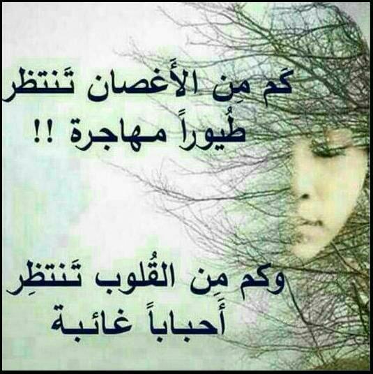 memene12 tweet picture