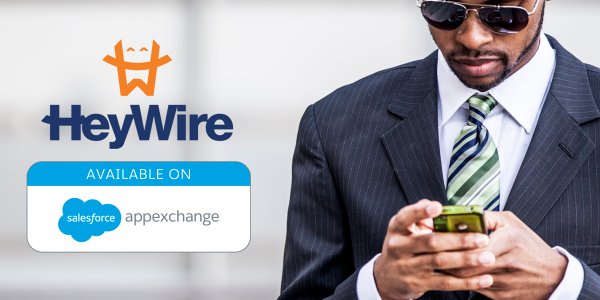 HeyWireBiz's tweet image. Custom Objects + Texting = Winning #CustExp [WEBINAR JAN 28] heywi.re/1PTAEiz  #salesforceadmin #customobject