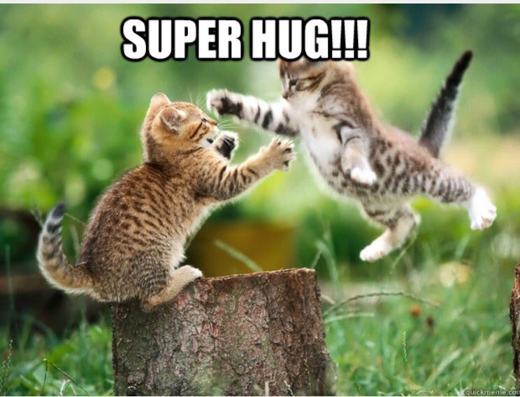 brittsteele33's tweet photo. Happy #NationalHugDay! https://t.co/MxBZOzr2mG