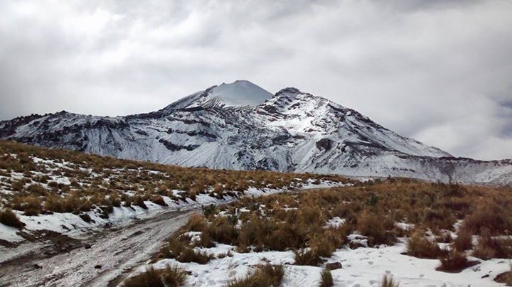 Victor Marini tweet media