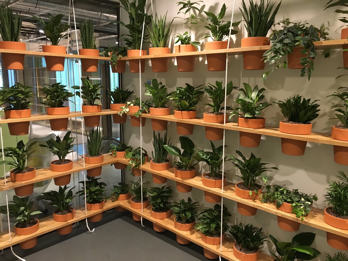greencareheeze's tweet photo. Weer een bijzonder leuk en mooi project mogen maken in Eindhoven. https://t.co/bk20Ui6ypR