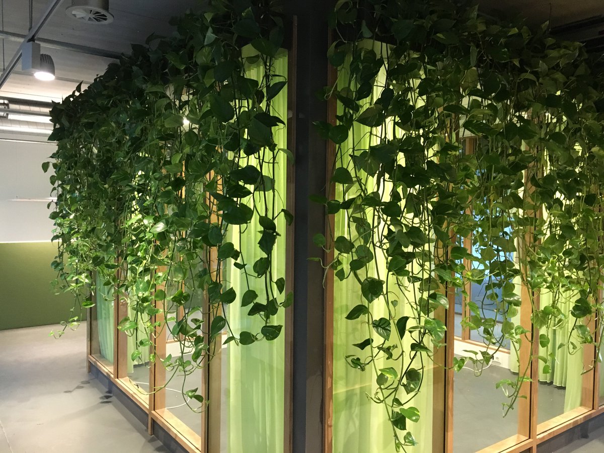 greencareheeze's tweet photo. Weer een bijzonder leuk en mooi project mogen maken in Eindhoven. https://t.co/bk20Ui6ypR